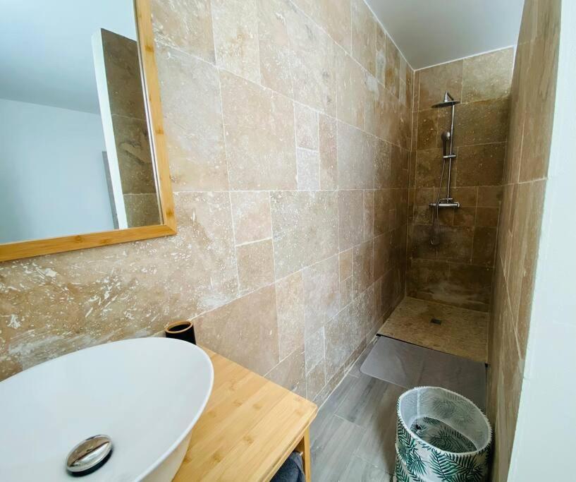 Villa Bois De Couleur Piscine Et Toit Terrasse سانت بيير المظهر الخارجي الصورة